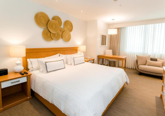 MELIÁ LIMA 11