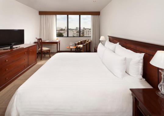 MELIÁ LIMA 22