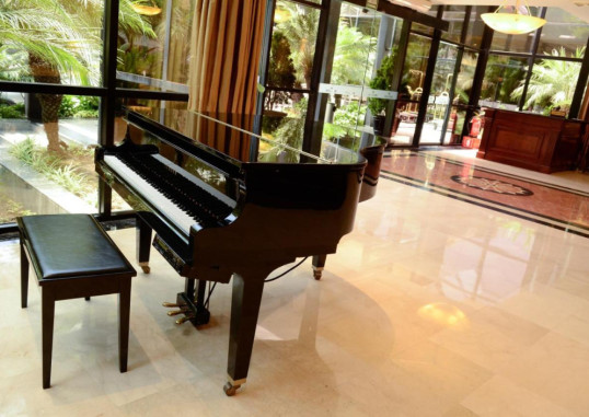 MELIÁ LIMA 25