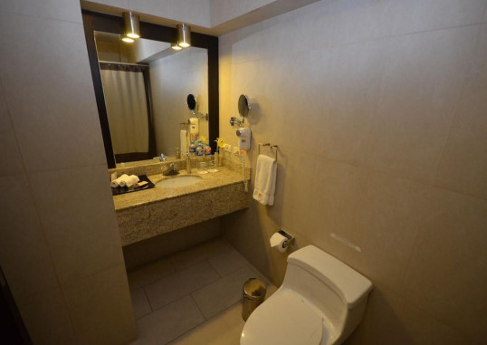 QP HOTELS LIMA 20