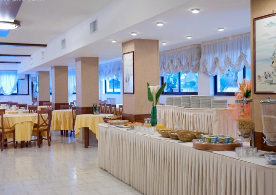 HOTEL GLI ULIVI 9