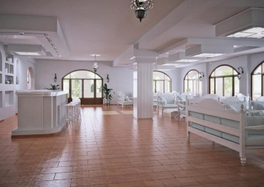 DIMITRA HOTEL CHERS 5