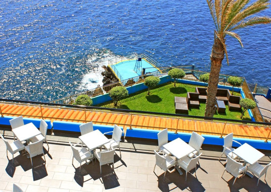 ROYAL ORCHID 6