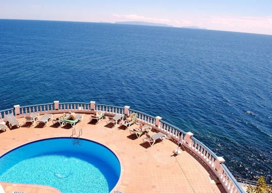 ROYAL ORCHID 9