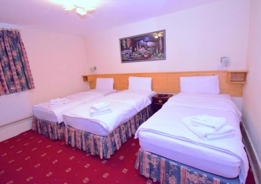 THE BRIDGE PARK HOTEL 9