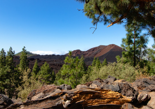 Tenerifė Ispanija 3