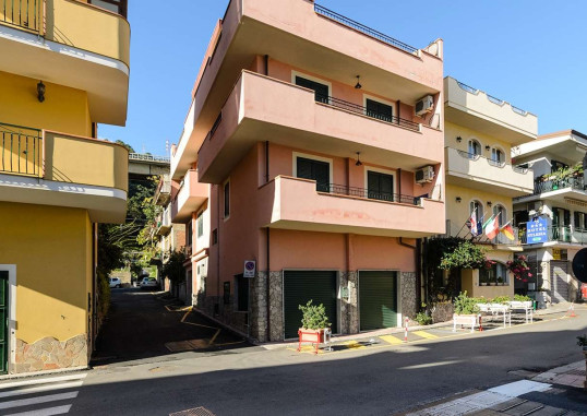 LE TARTARUGHE 3