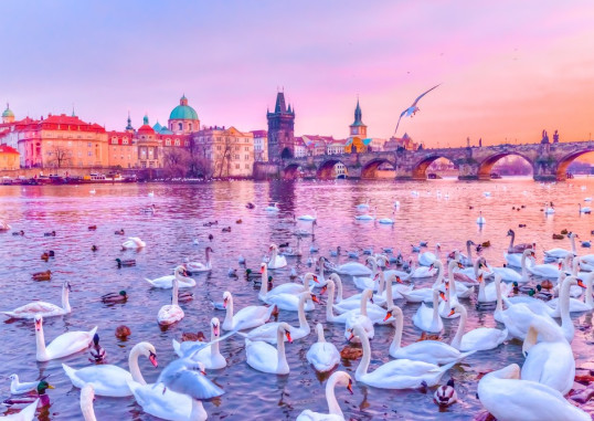Praha Čekija 6