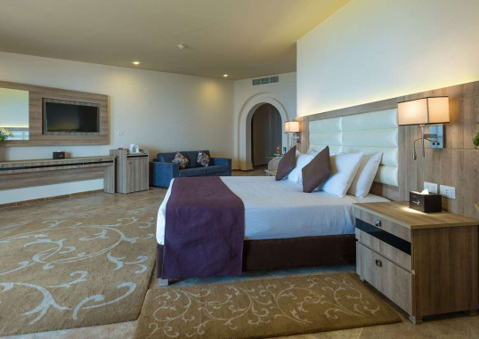 PICKALBATROS CITADEL RESORT 12