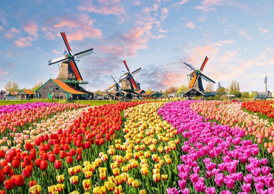 Amsterdamas Nyderlandai 1