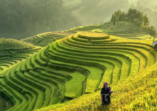 Šiaurės Vietnamas Vietnamas 5