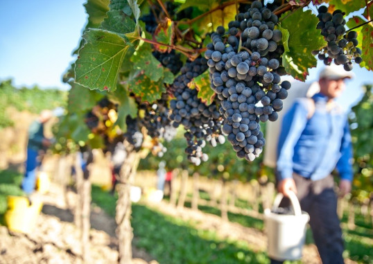 Palermas Sicilija Italija 24