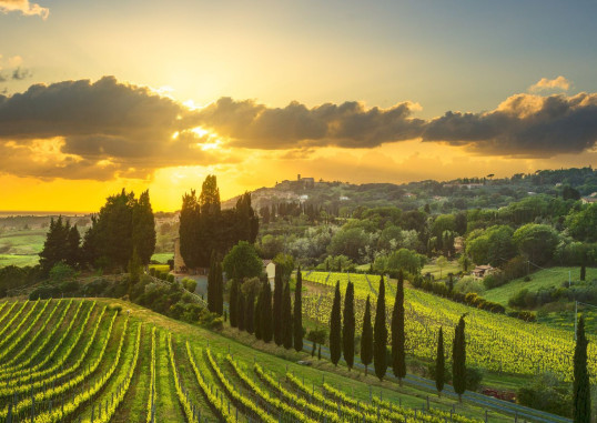 Florencija Bolonija Riminis Piza Italija 37