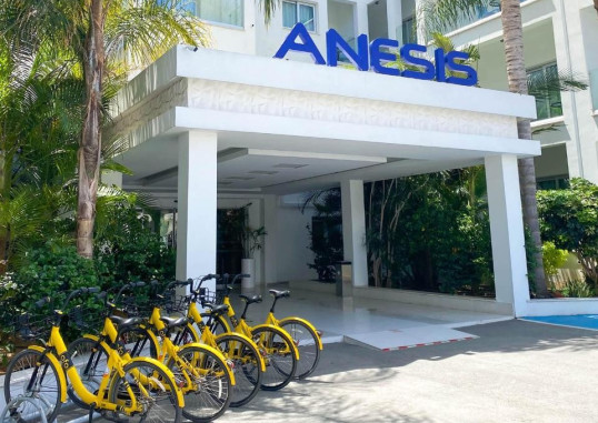 ANESIS 5