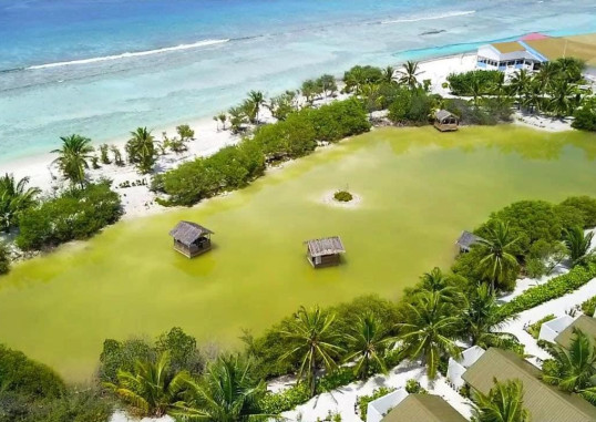 SOUTH PALM RESORT MALDIVES 13
