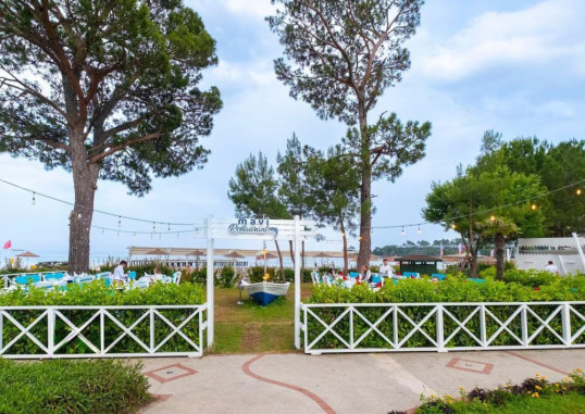 MA BICHE KEMER 33