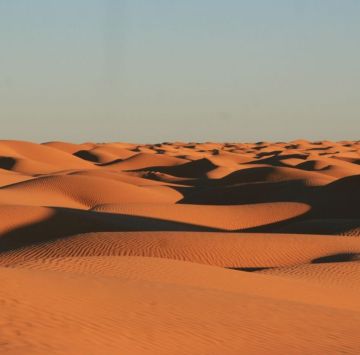 Įspūdingos dykumos, kupranugariai, o gal ir pažintinė ekskursija po senamiestį su vietiniu gidu?